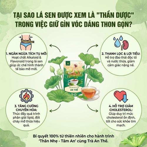 Tại Sao Lá Sen Được Xem Là "Thần Dược" Trong Việc Giữ Gìn Vóc Dáng Thon Gọn?