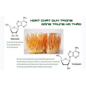 Phòng ngừa sự hình thành các khối u gây ung thư