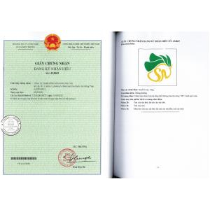 Xoài Sấy Dẻo - SUNHI