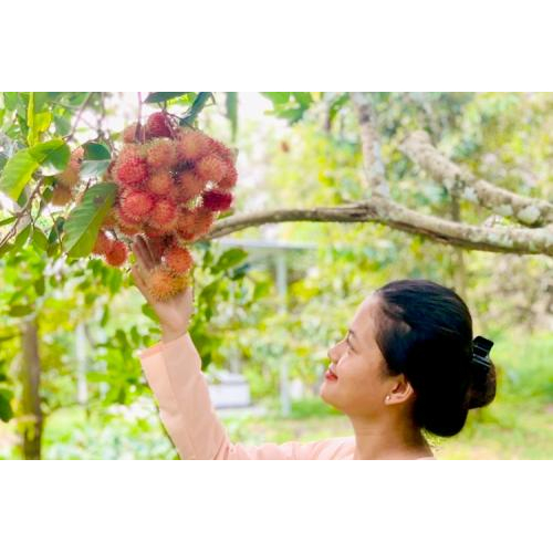 Thông tin chi tiết