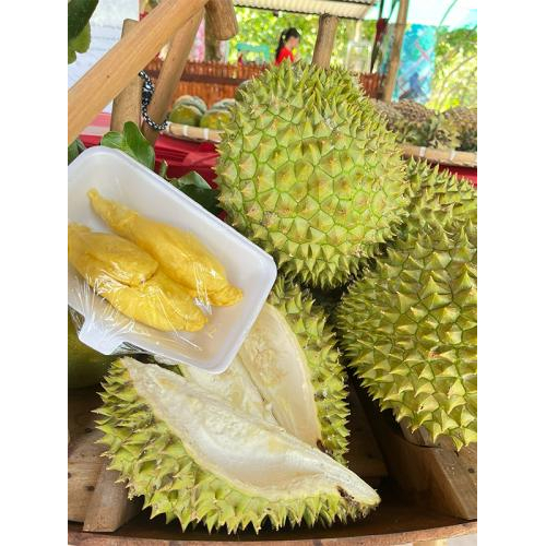 Thông tin chi tiết