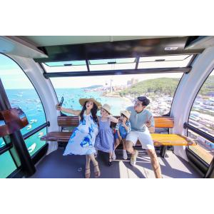 Giới thiệu dịch vụ