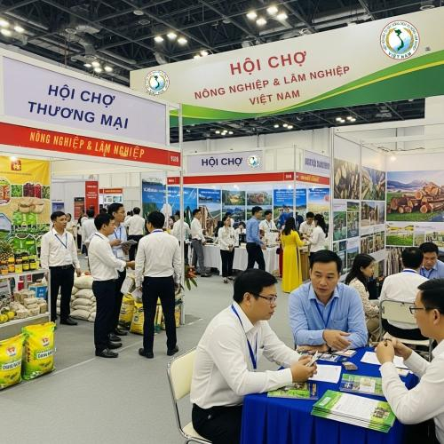 Kết nối Giao Thương Nông, Lâm Nghiệp: Hiệp Hội SICSAFA Thúc Đẩy Hiệu Quả