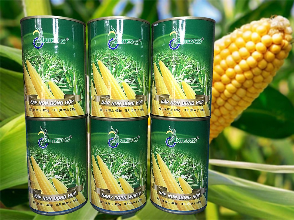 Thông tin về sản phẩm