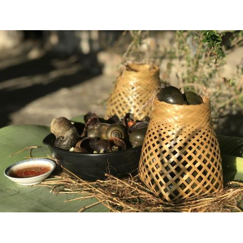 Ốc Gác Bếp 500gr