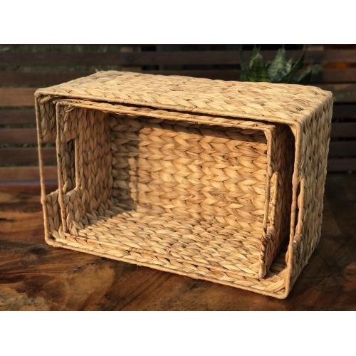 Khay Lục Bình Có Quai Cầm - Size S [33x22x15cm]