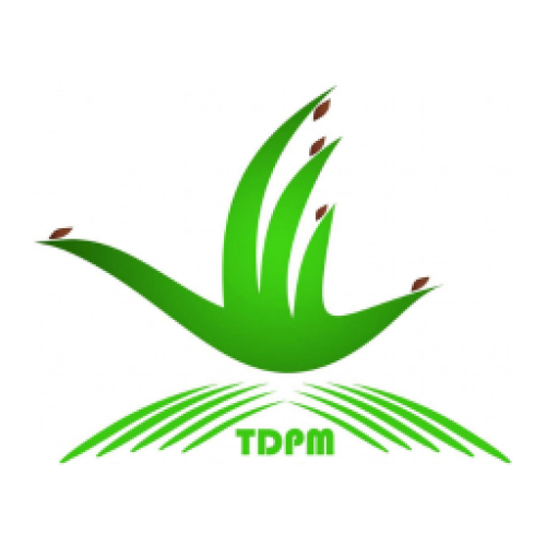 Thảo Điền Phú Mỹ