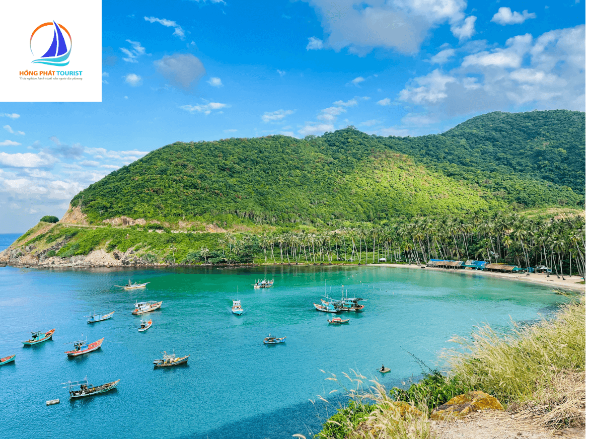 Tour nam du 3 ngày 3 đêm khởi hành từ Tp. HCM