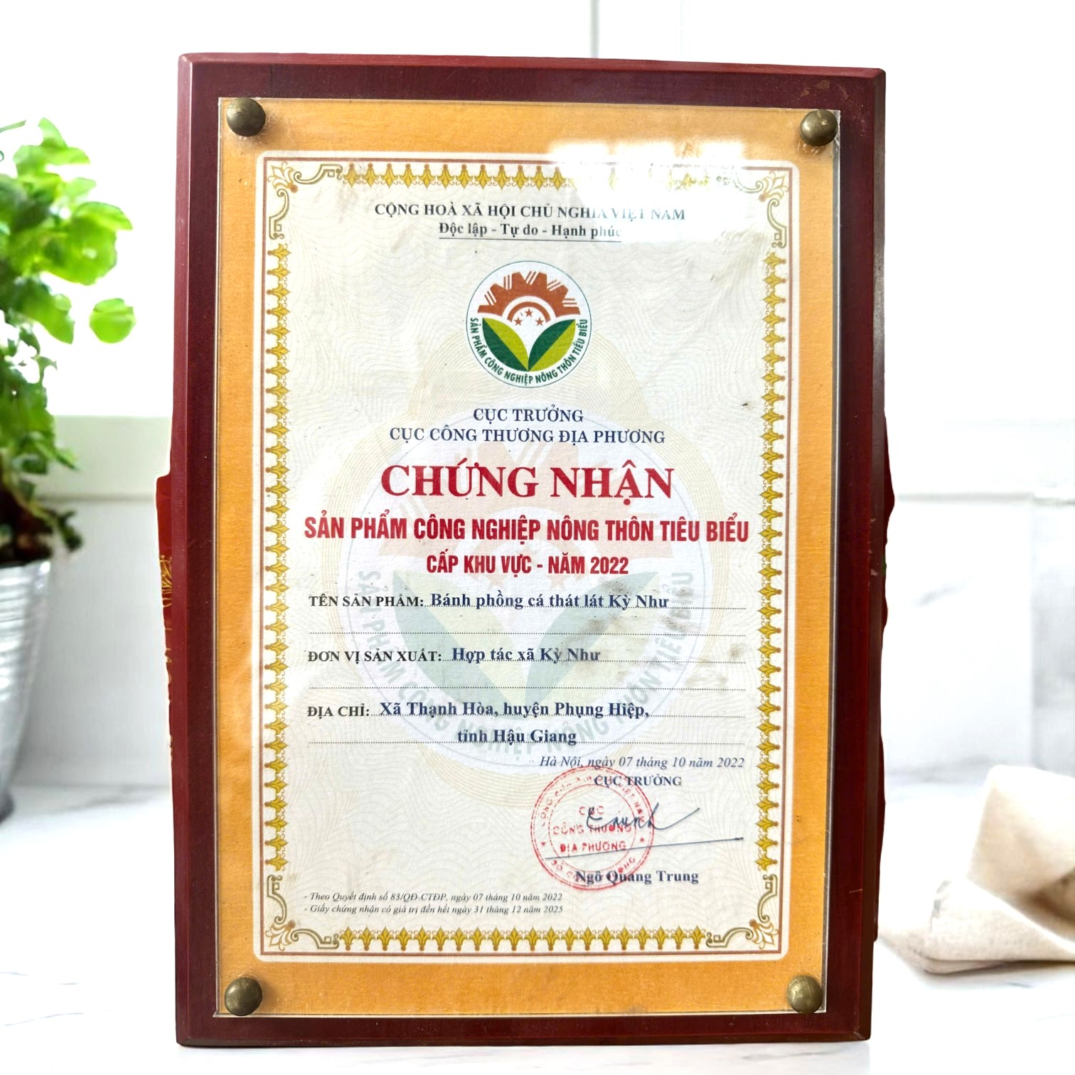 Chứng nhận Sản phẩm Công nghiệp Nông thôn tiêu biểu cấp Khu vực