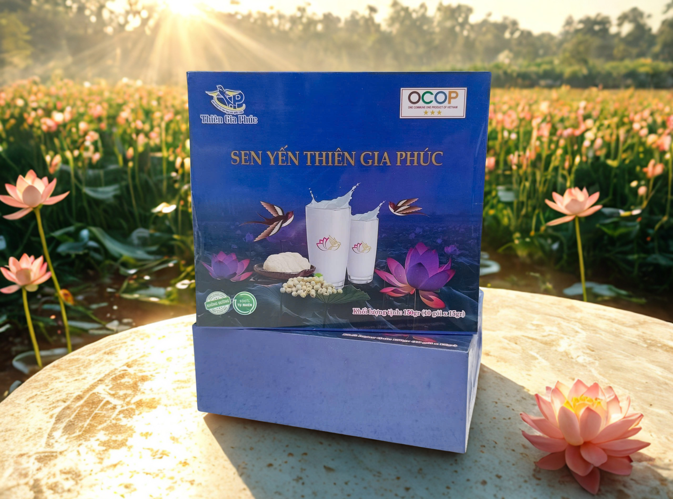 Câu chuyện Sen Yến