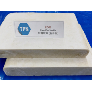 Công Ty Cổ Phần Thủy Sản Tâm Phương Nam