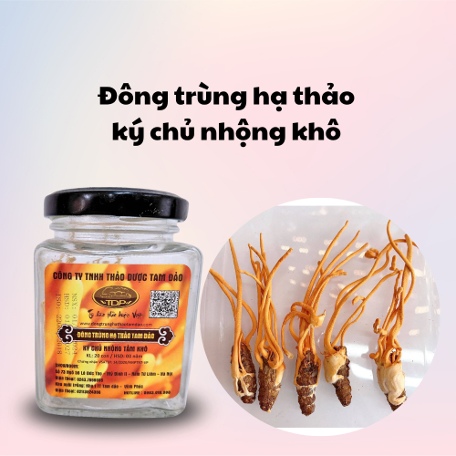 Cách Sử Dụng và Bảo Quản-Đông Trùng Hạ Thảo Ký Chủ Nhộng
